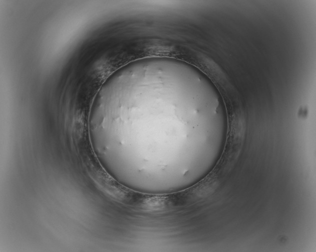 X0000114000761200910021316