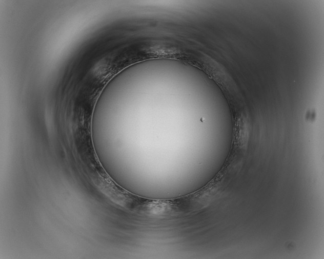 X0000114000762200910021316