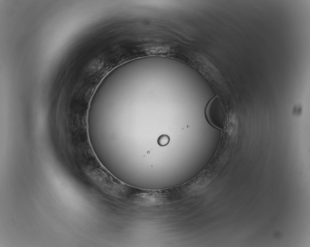 X0000114000763200910021316
