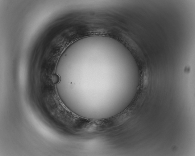 X0000114000764200910021316