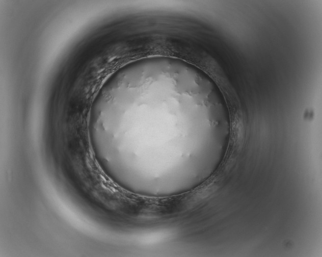 X0000114000765200910021316