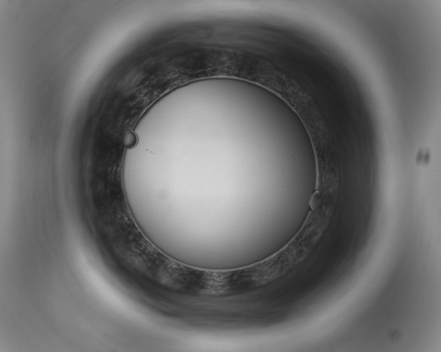 X0000114000766200910021316