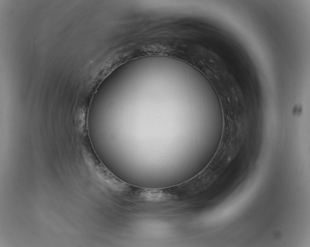 X0000114000767200910021316
