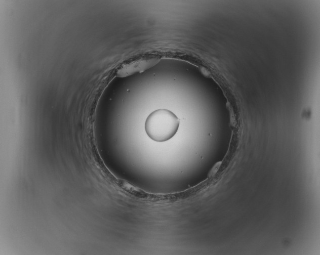 X0000114000769200910021315