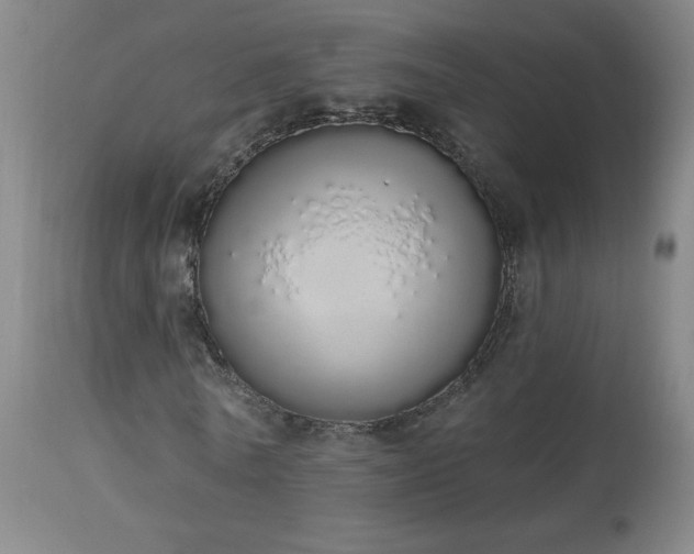X0000114000770200910021315