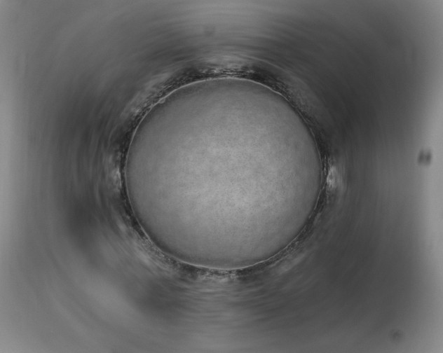 X0000114000771200910021315