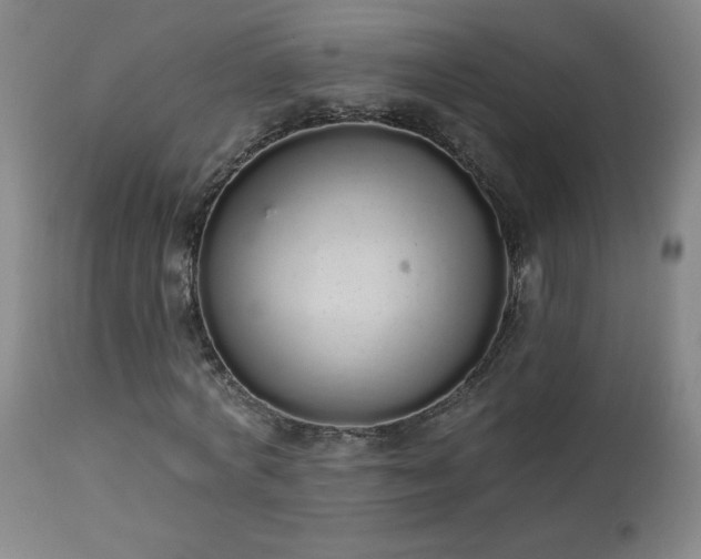 X0000114000772200910021315