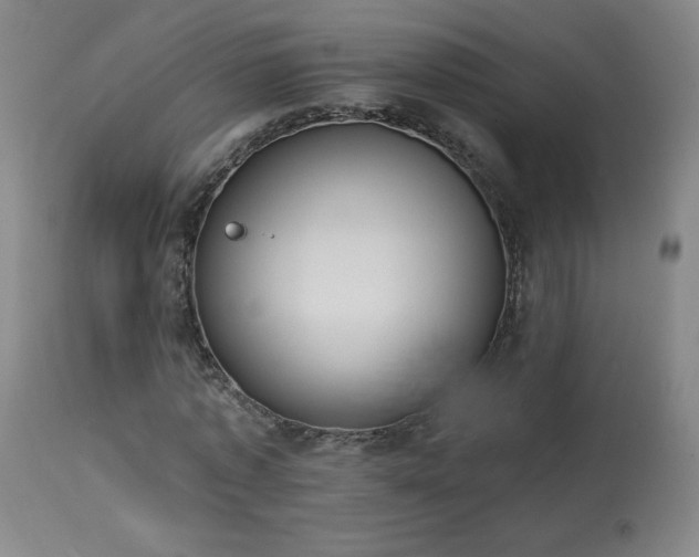 X0000114000773200910021315