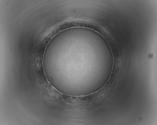 X0000114000774200910021315