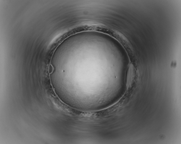 X0000114000775200910021315