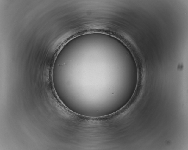 X0000114000777200910021315