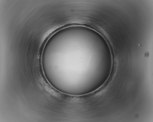 X0000114000779200910021315