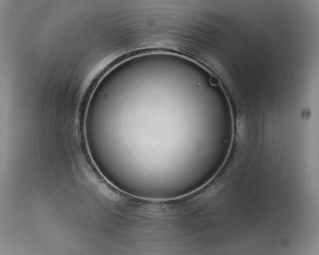 X0000114000780200910021315