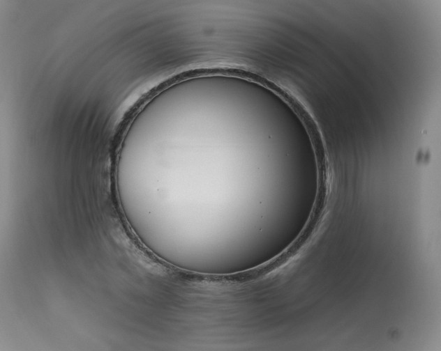 X0000114000781200910021315