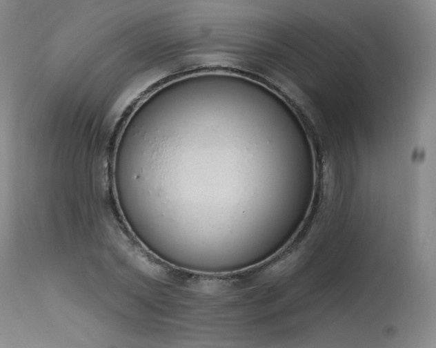 X0000114000782200910021315