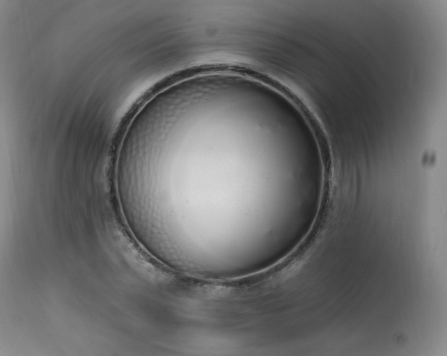 X0000114000783200910021315