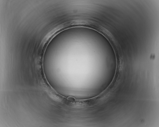 X0000114000786200910021315
