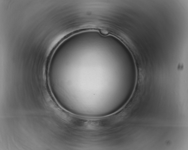 X0000114000788200910021315