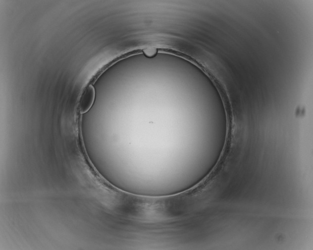 X0000114000789200910021315