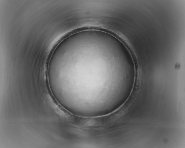 X0000114000791200910021315