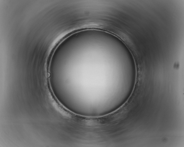 X0000114000792200910021315