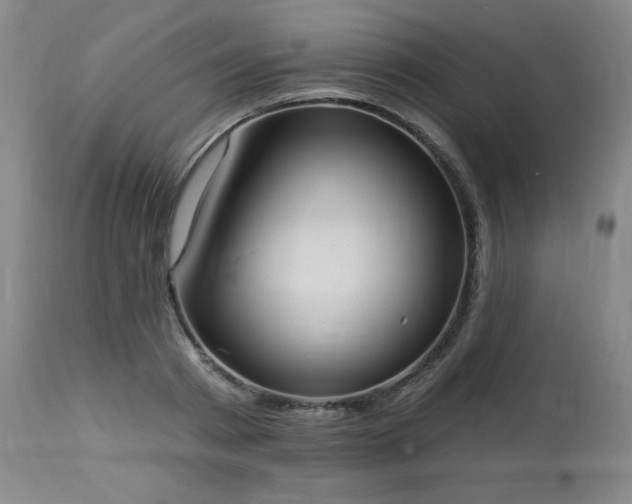 X0000114000793200910021315
