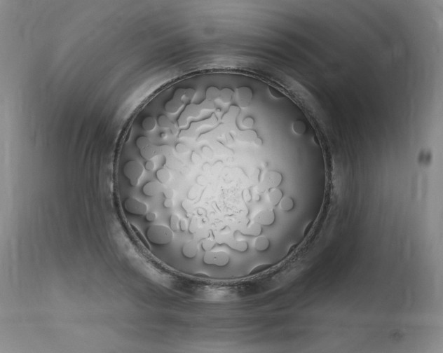X0000114000794200910021315