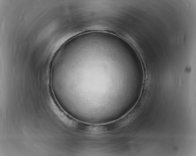 X0000114000795200910021315