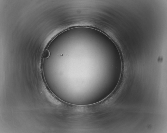 X0000114000797200910021315