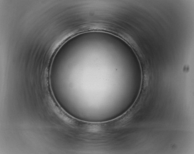 X0000114000798200910021315