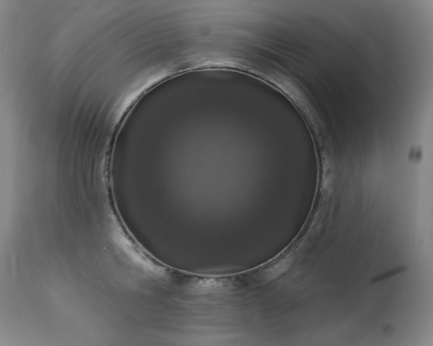 X0000114000806200910021315