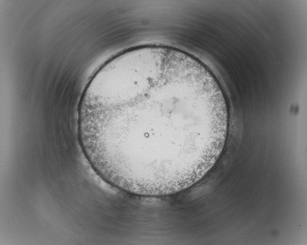 X0000114000807200910021315
