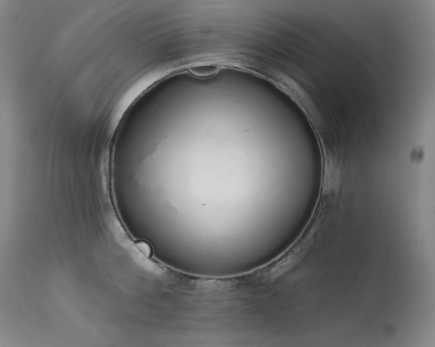 X0000114000812200910021314