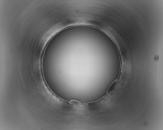 X0000114000813200910021314