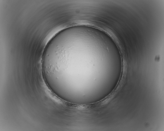 X0000114000814200910021314