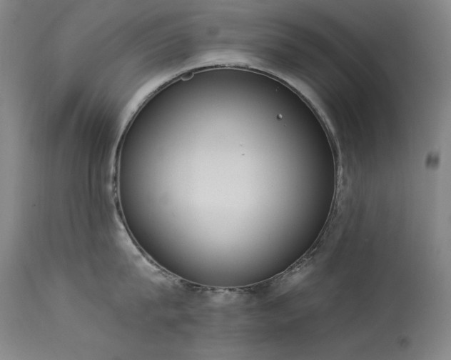 X0000114000815200910021314
