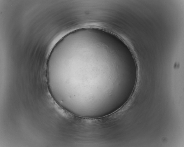 X0000114000816200910021314