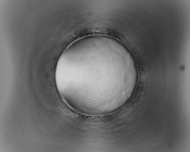 X0000114000817200910021314