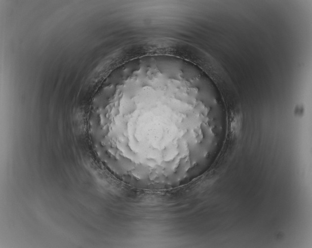 X0000114000819200910021314