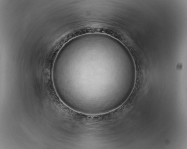 X0000114000821200910021314
