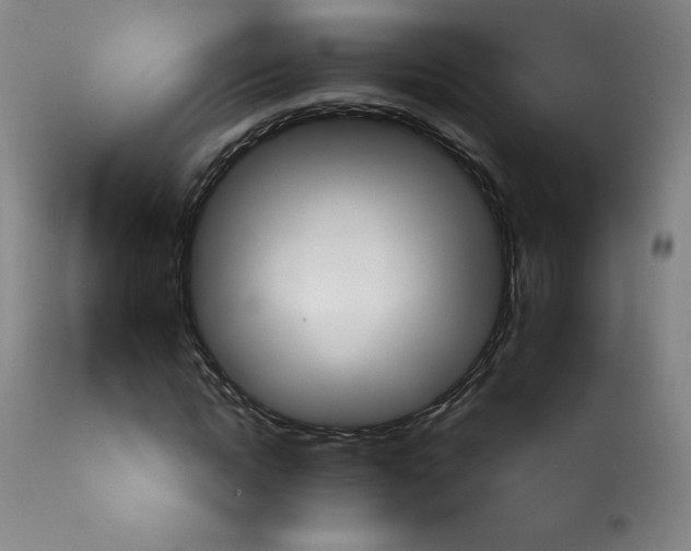 X0000114000822200910021314