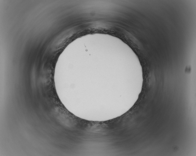 X0000114000824200910021314