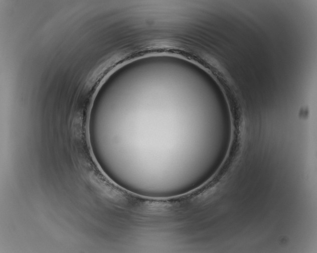 X0000114000825200910021314