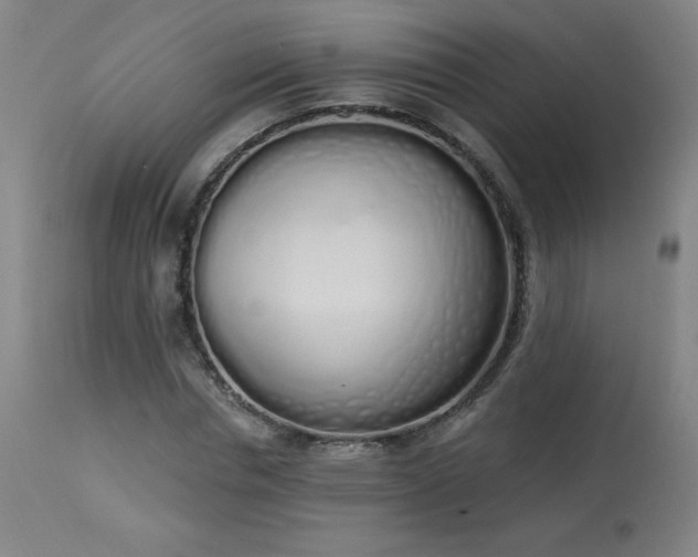 X0000114000826200910021314