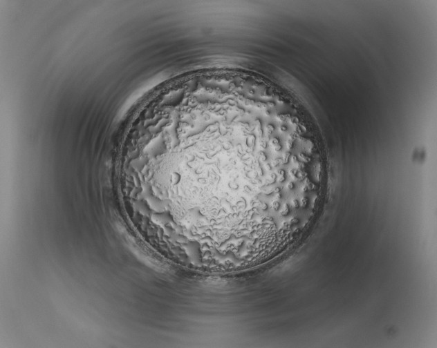 X0000114000827200910021314