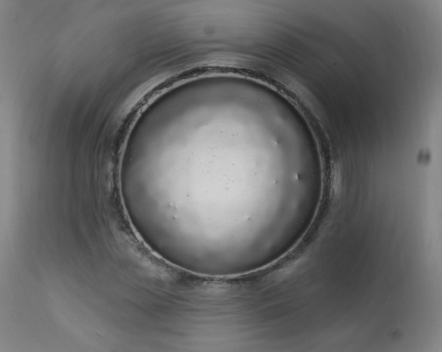 X0000114000829200910021314