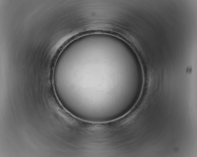 X0000114000830200910021314