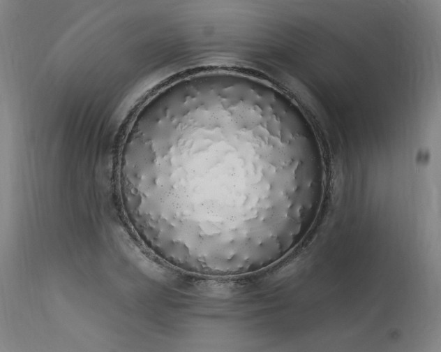 X0000114000831200910021314