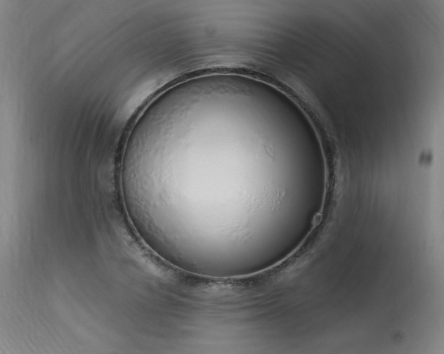 X0000114000834200910021314