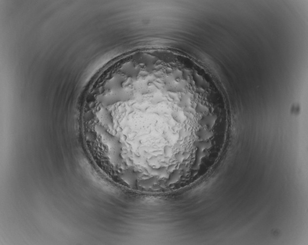 X0000114000835200910021314